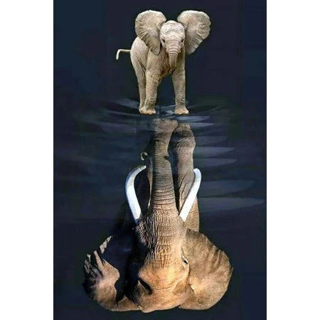 Broderie Diamant <br> Petit Éléphant Et Son Reflet 3 Broderie Diamant <br> Petit Éléphant Et Son Reflet