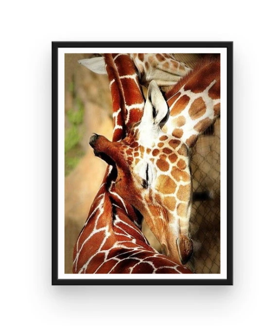 Broderie Diamant <br> Repos Des Girafes 4 Broderie Diamant <br> Repos Des Girafes – Image 2