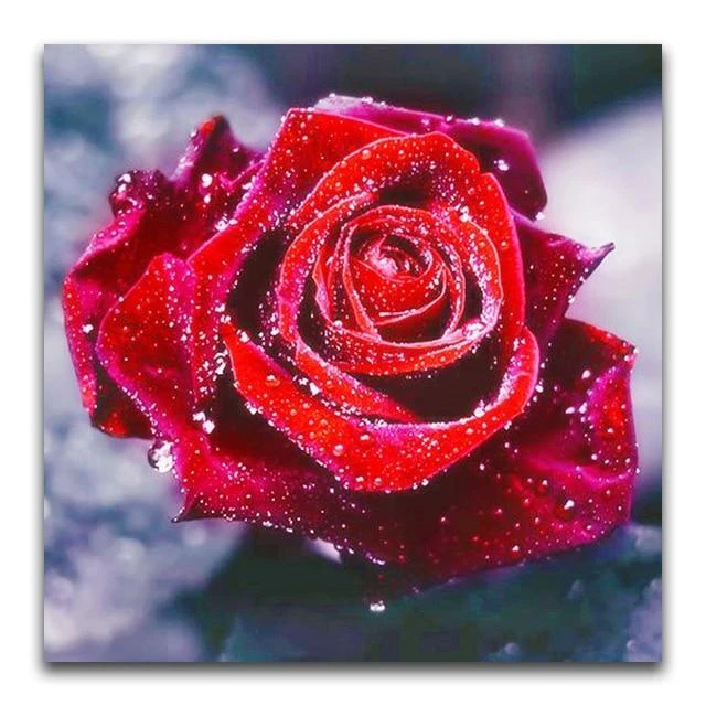Broderie Diamant Rose Rouge 3 Broderie Diamant Rose Rouge