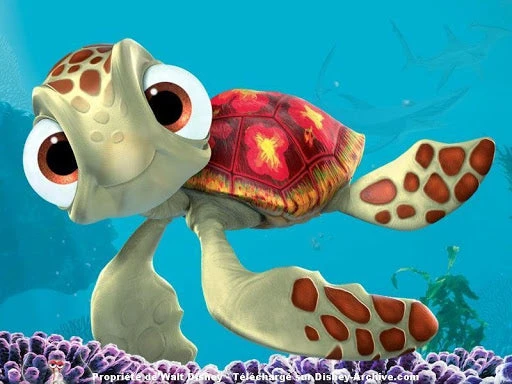 Broderie Diamant <br> Squeeze La Tortue 3 Broderie Diamant <br> Squeeze La Tortue