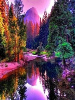 Broderie Diamant <br> Végétation Luxuriante