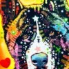 Broderie Diamant <br> Akita Inu Coloré